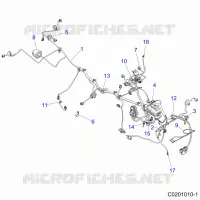 ELECTRICITE, HARNESS