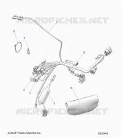 ELECTRICITE, HARNESS, MAIN WIRE