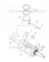 VILEBREQUIN AND PISTON ASSEMBLY (4913491349032A)