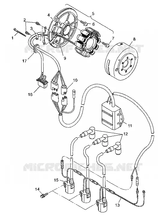 STATOR