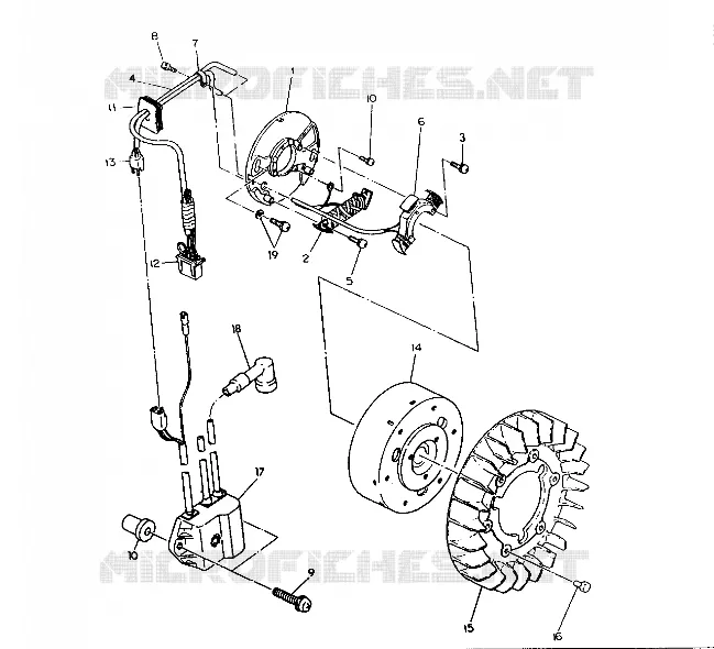STATOR Trail (4921272127046A)