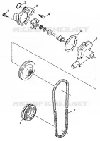 POMPE A EAU WIDETRAK LX 0982065 and EUROPEAN WIDETRAK LX E982065 (4943884388C011)