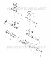 PISTON AND VILEBREQUIN (4909530953019A)
