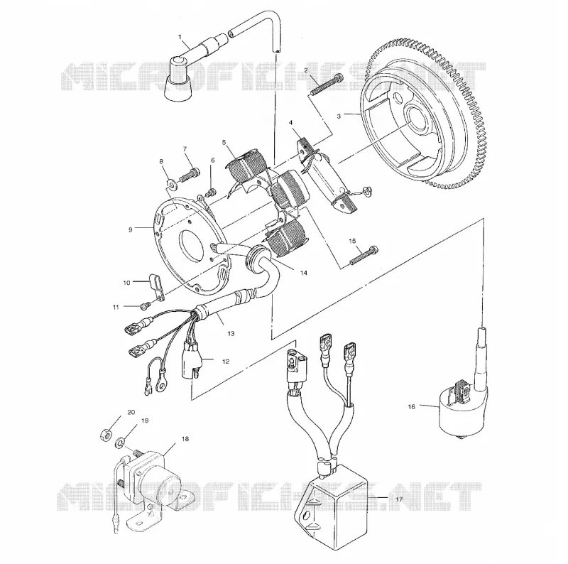 STATOR