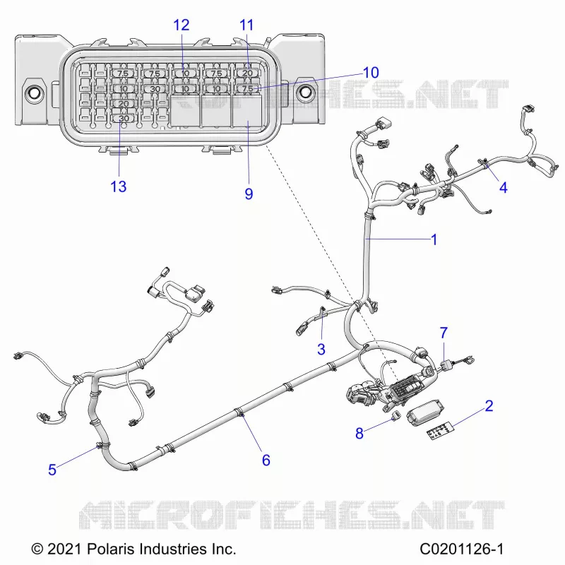ELECTRICITE, WIRE HARNESS