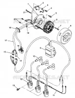 STATOR XLT LTD 0973756 and EUROPEAN XLT LTD E973756 (4937793779C011)