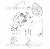 STATOR (BLAZER)