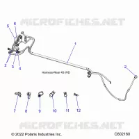 ELECTRICITE, WIRE HARNESS, REAR