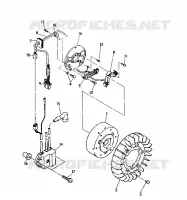 STATOR  Indy Lite (4921332133035A)