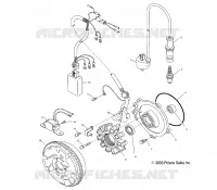 STATOR