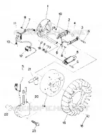 STATOR Trail (4912701270040A)