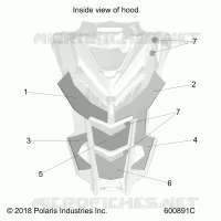BODY, HOOD FOAM/FIBER