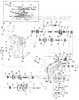 FREIN ET CARTER DE CHAINEE WIDETRAK (4919301930013A)