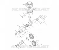 VILEBREQUIN AND PISTON