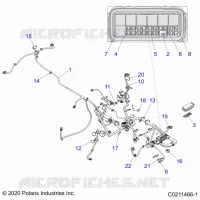 ELECTRICITE, HARNESS