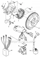 STATOR (400L) XPRESS 400L W97CA38C (4939603960D010)