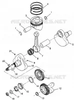 VILEBREQUIN AND PISTON