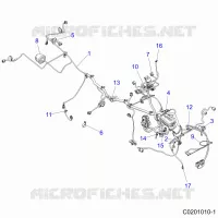 ELECTRICITE, HARNESS