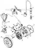 STATOR