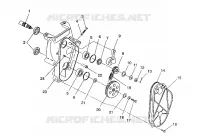 CARTER DE CHAINEE ASSEMBLY 440 / 0930760 AND 440 SKS / 0930560 (4922932293017A)