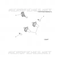 ELECTRICITE, BULBS