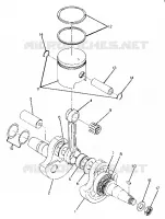 VILEBREQUIN AND PISTON ASSEMBLY (4917721772033A)