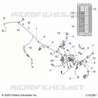 ELECTRICITE, HARNESS