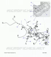 ELECTRICITE, HARNESS