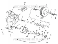 TRACK AND ARBRE DE TRANSMISSION SUPERTRAK (4919291929021A)