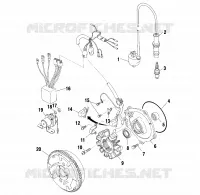 STATOR