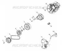 STATOR