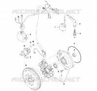 STATOR