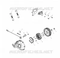 STATOR