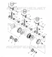VILEBREQUIN AND PISTON   500 XLT (4921662166035A)
