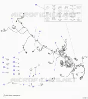 ELECTRICITE, HARNESS