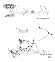 ELECTRICITE, HARNESS