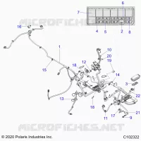 ELECTRICITE, HARNESS