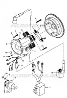 STATOR Trail Boss W98AA25C (4945314531C009)