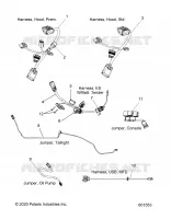 ELECTRICITE, JUMPERS/WIRE HARNESS