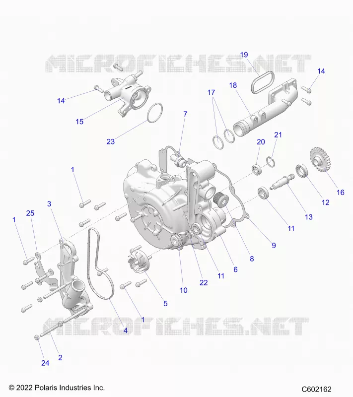 ENGINE, SYSTÃˆME DE REFROIDISSEMENT/WATER PUMP