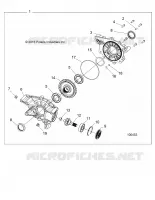 DRIVE TRAIN, PONT ARRIERE INTERNALS