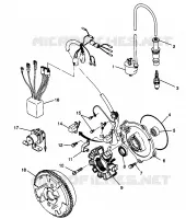 STATOR  Magnum 2X4 W967544 (4936033603D006)