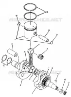 VILEBREQUIN AND PISTON TRAIL BOSS / W928527 (4922892289034A)