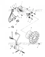 STATOR (STAR) (4910951095024A)