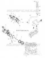 CORPS DE PAPILLON and INJECTOR