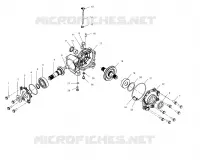 CARTER AVANT