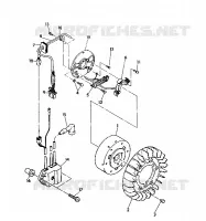 STATOR  Indy Lite (4921332133035A)