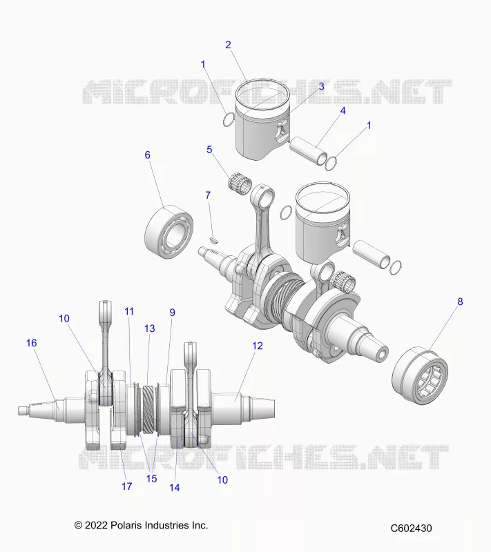 ENGINE, PISTON AND VILEBREQUIN