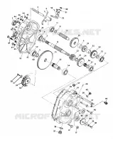 PONT 250 2X4/W927527 (4922862286025A)