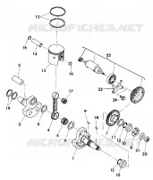VILEBREQUIN AND PISTON ASSEMBLY (4918541854042A)